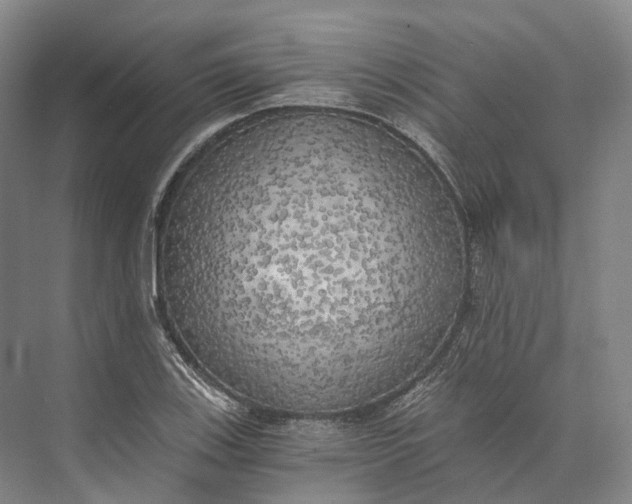 X0000072931123200608041209