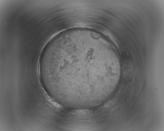 X0000072931125200608041209