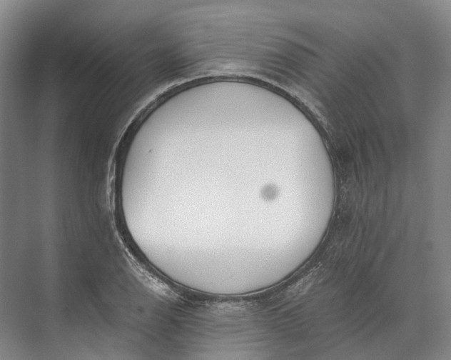 X0000072931126200608041209