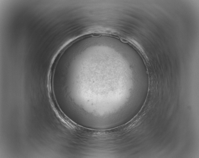 X0000072931128200608041209