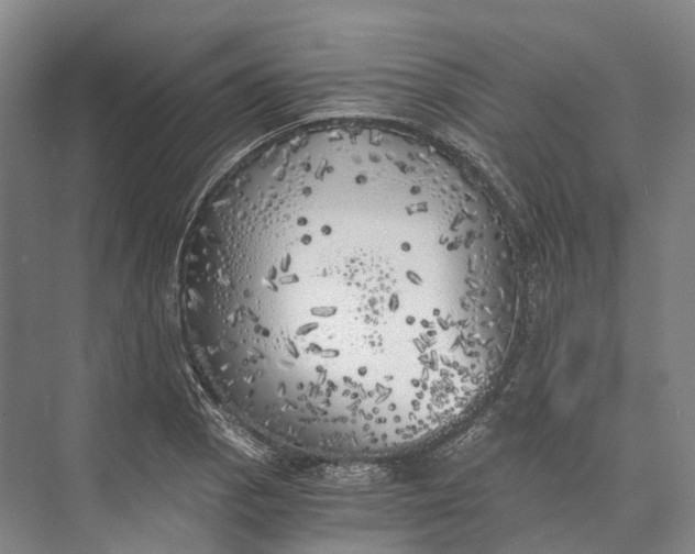 X0000072931129200608041209