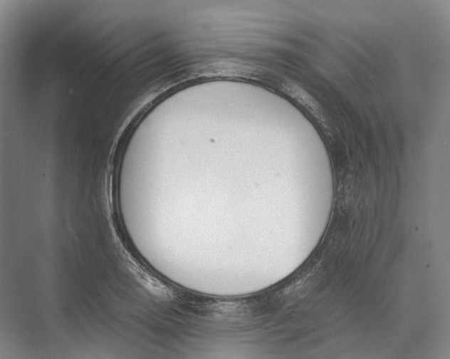 X0000072931130200608041209