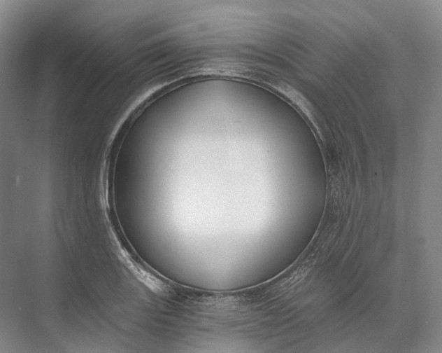 X0000072931131200608041209