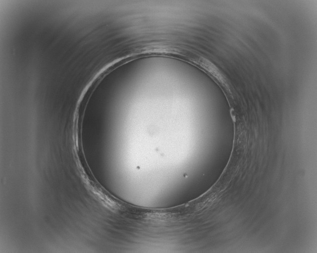 X0000072931132200608041209