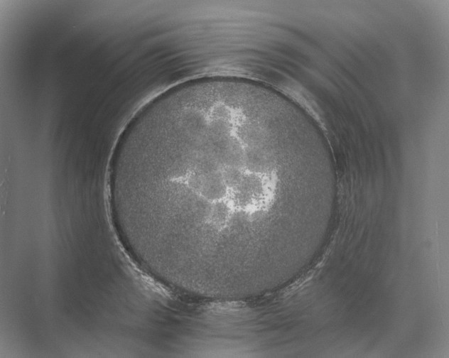 X0000072931133200608041209