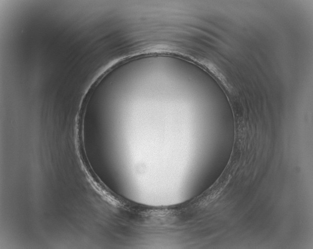 X0000072931134200608041209