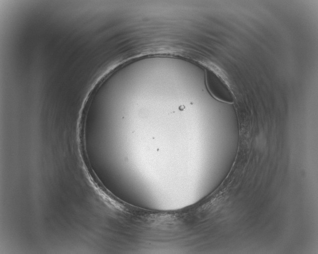 X0000072931135200608041209