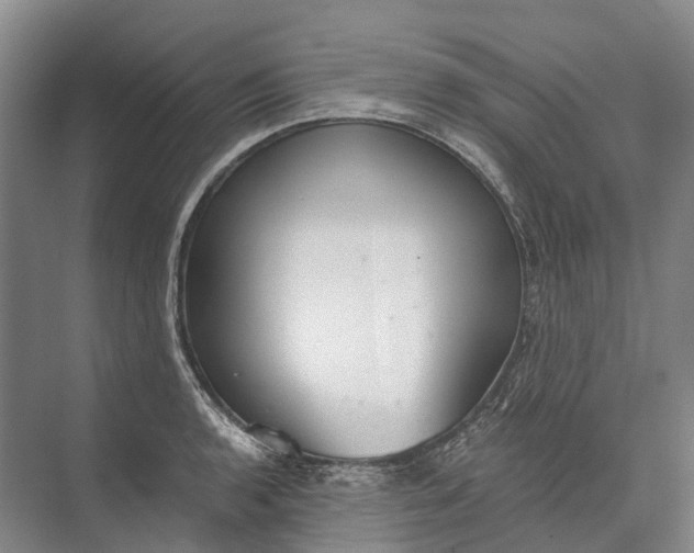 X0000072931136200608041209