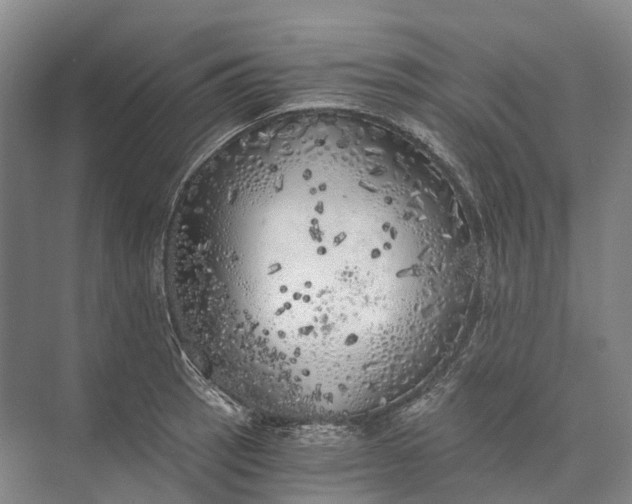 X0000072931137200608041209