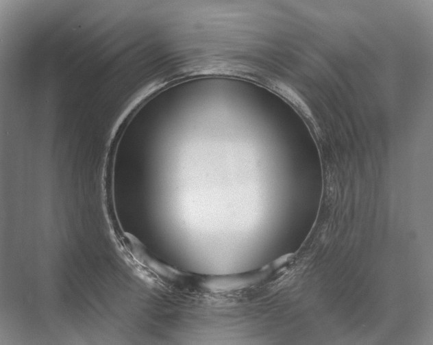 X0000072931138200608041209