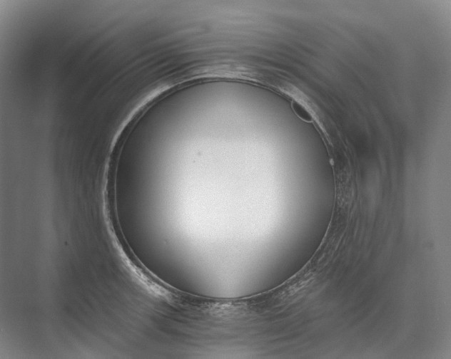 X0000072931139200608041209