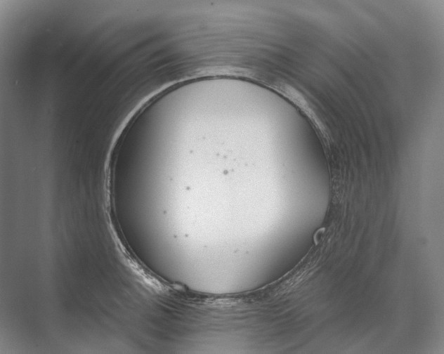 X0000072931140200608041209