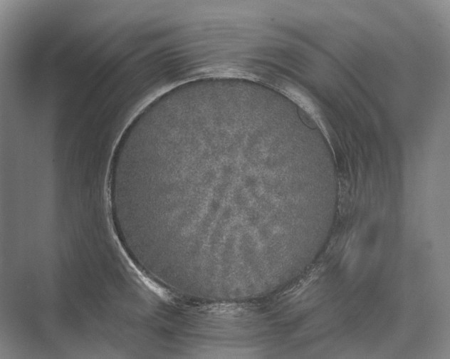 X0000072931141200608041209