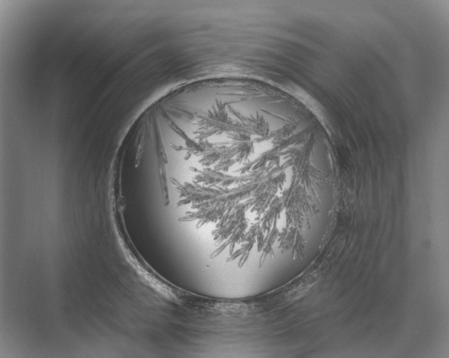 X0000072931142200608041209