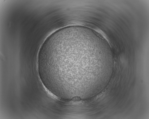 X0000072931143200608041209