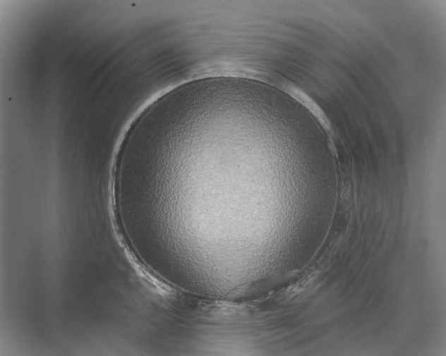 X0000072931144200608041209