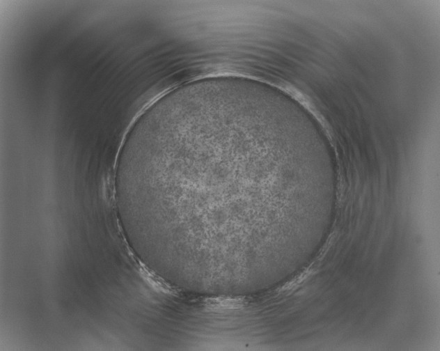 X0000072931145200608041209