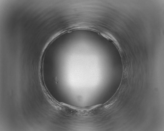 X0000072931146200608041209