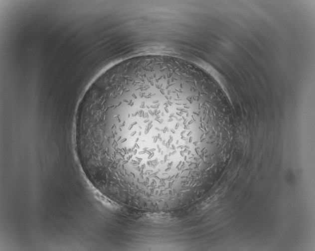 X0000072931147200608041209