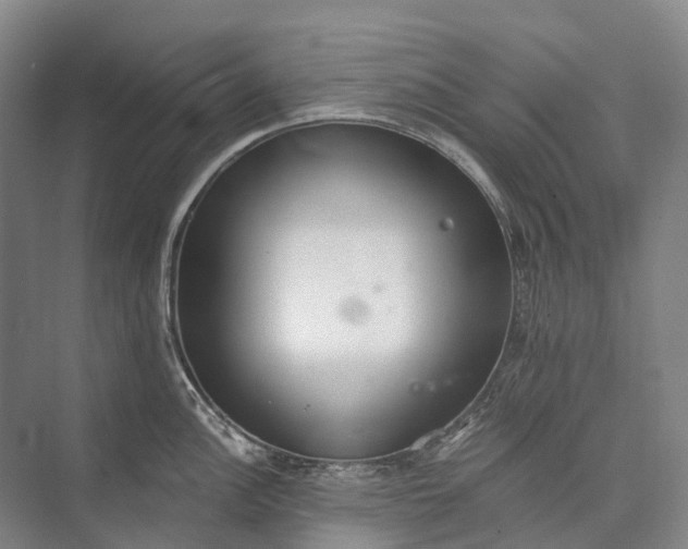 X0000072931148200608041209