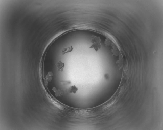 X0000072931149200608041209