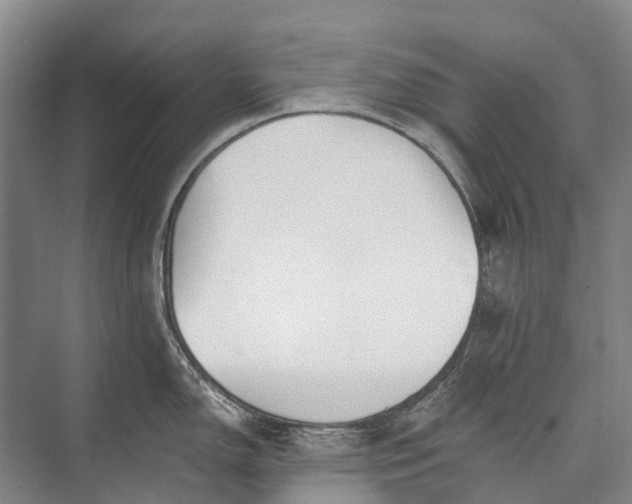 X0000072931150200608041209