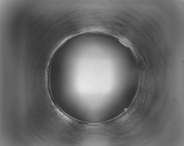 X0000072931151200608041209