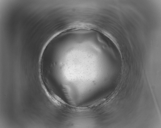 X0000072931152200608041209