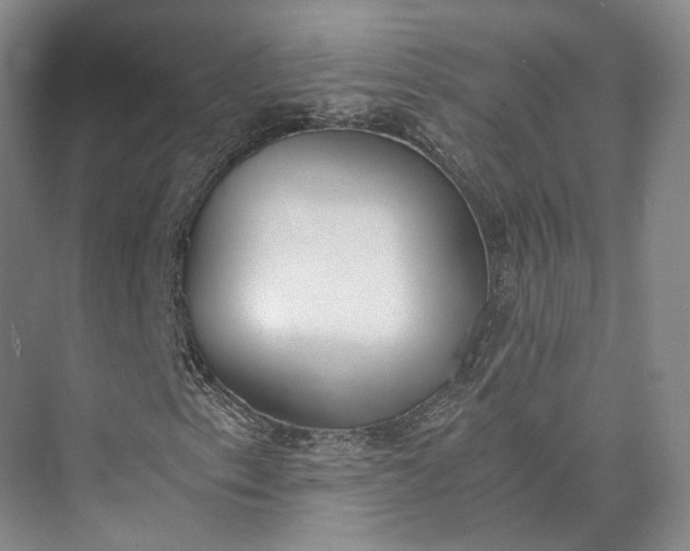 X0000072931153200608041208