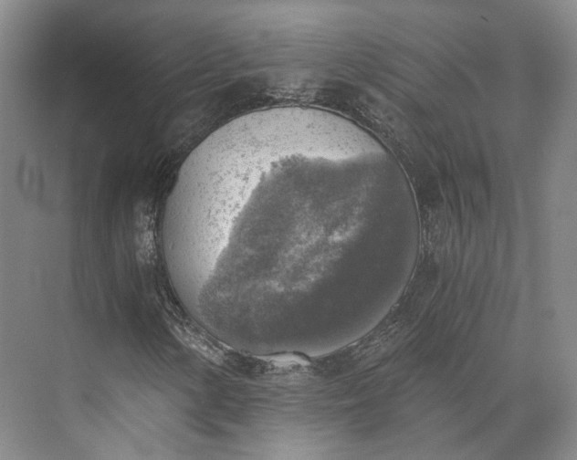 X0000072931154200608041208