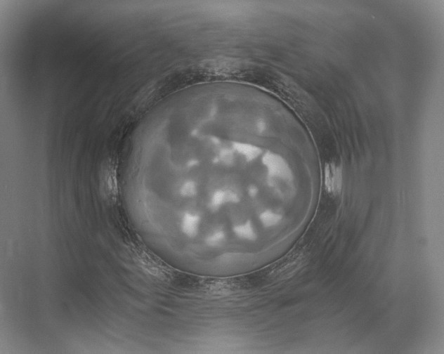 X0000072931155200608041208