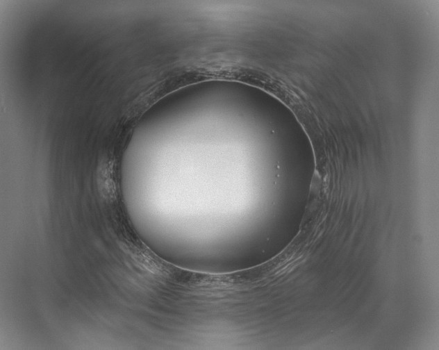 X0000072931156200608041208