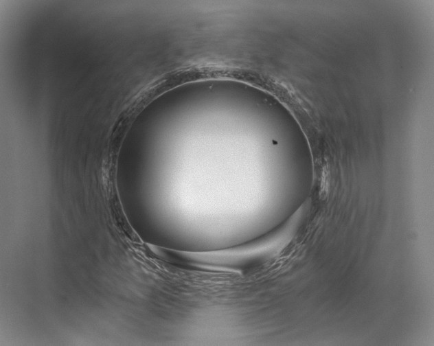 X0000072931157200608041208