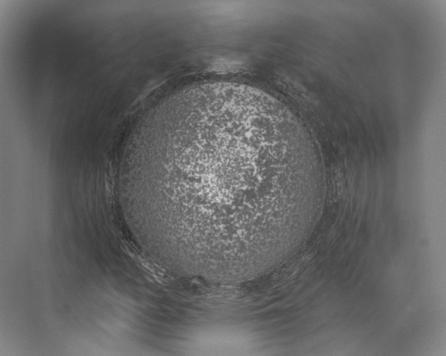 X0000072931158200608041208