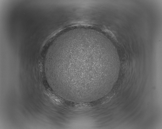 X0000072931159200608041208