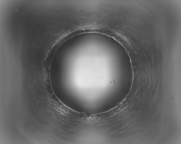 X0000072931160200608041208