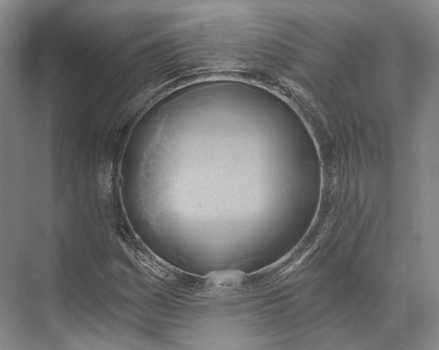 X0000072931161200608041208