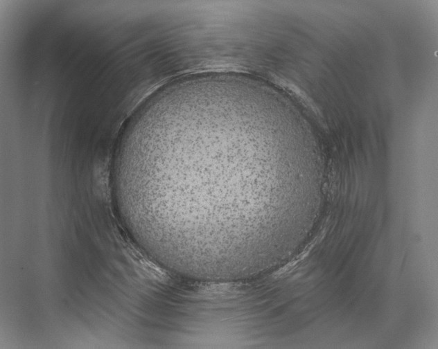 X0000072931162200608041208