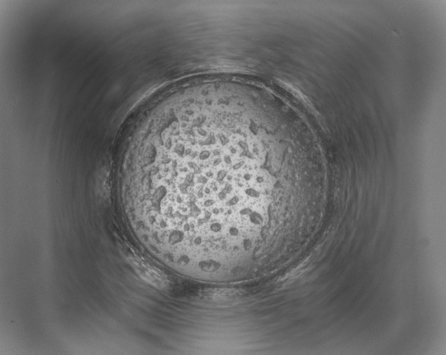 X0000072931163200608041208