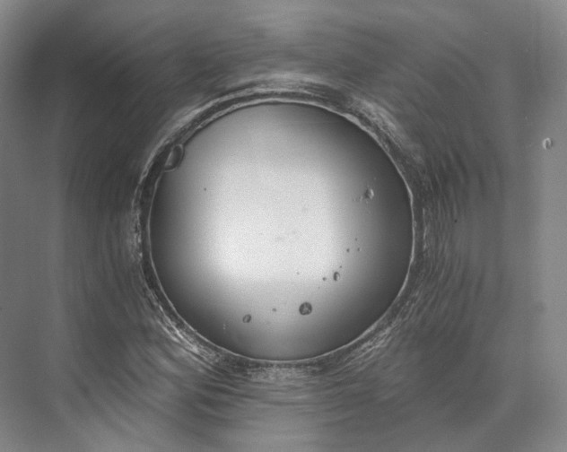 X0000072931164200608041208