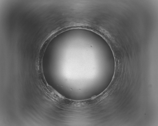 X0000072931165200608041208