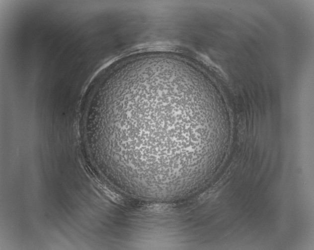 X0000072931166200608041208