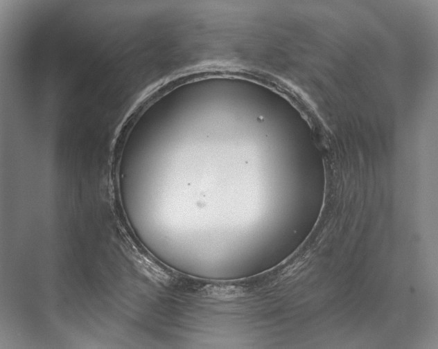 X0000072931168200608041208