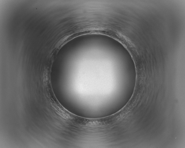 X0000072931169200608041208