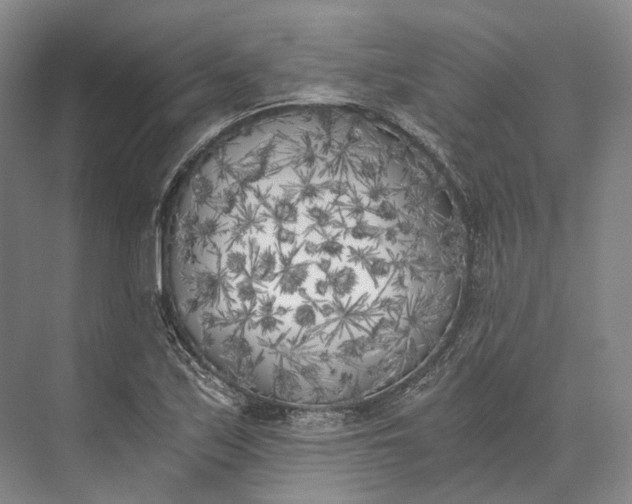 X0000072931171200608041208