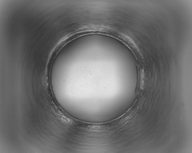 X0000072931172200608041208