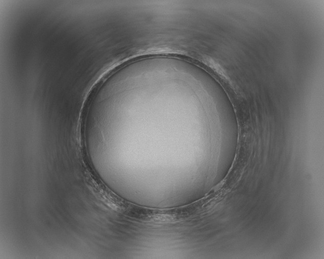 X0000072931173200608041208