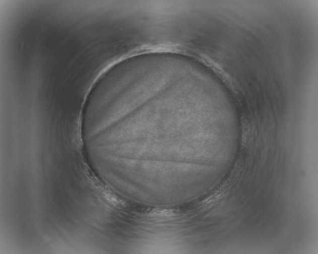 X0000072931174200608041208