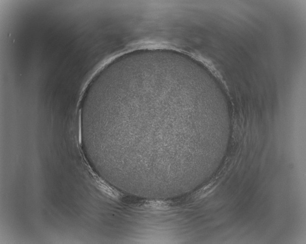 X0000072931175200608041208