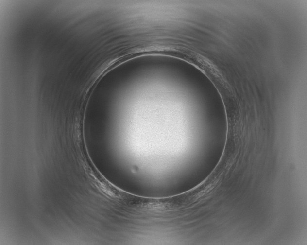 X0000072931177200608041208